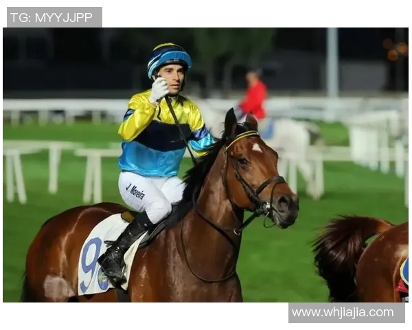 莫雷拉的传奇之路：从赛马新星到国际骑师的辉煌历程