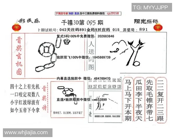 探索3D各类和值字谜的奥秘与技巧，揭示数字背后的趣味与智慧