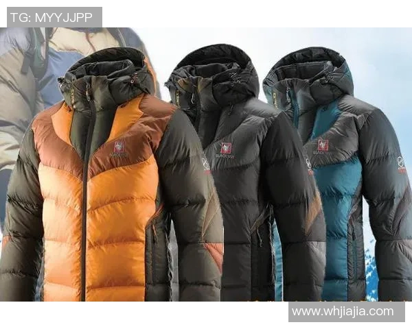 探索布来亚克冲锋衣的极致性能与时尚设计，助你征服各种户外挑战