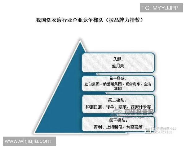 耐克旗下四大品牌解析及其在全球市场的影响力与发展趋势